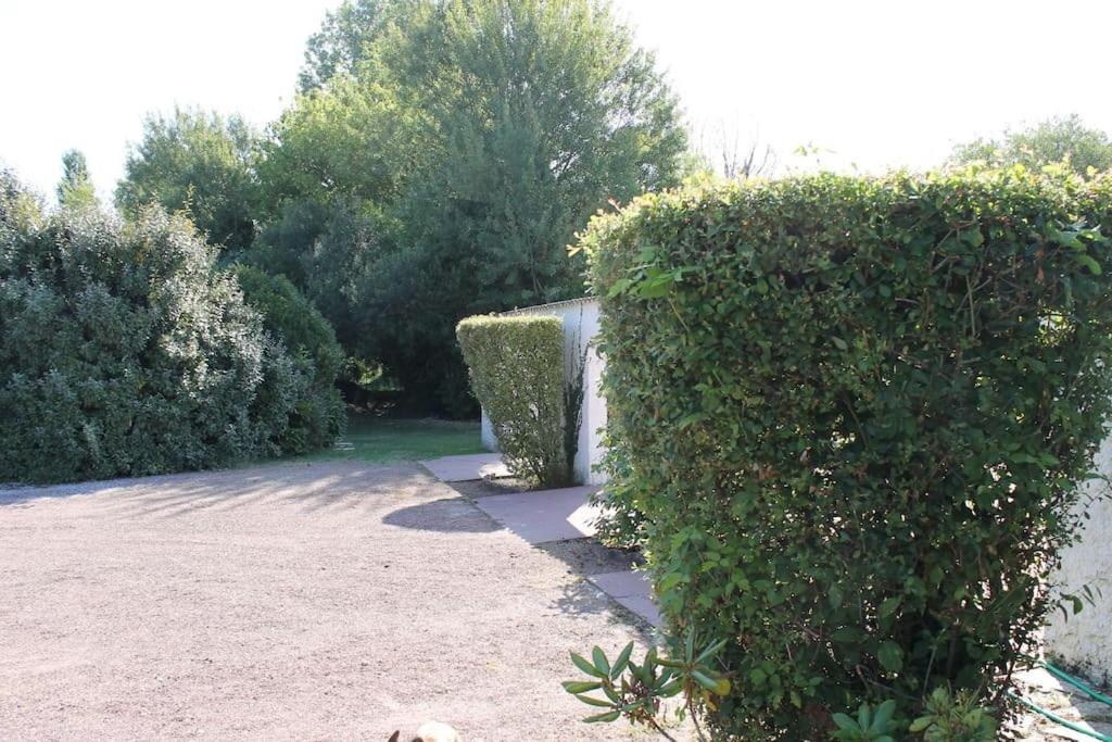 Apartment Independant Tres Calme Dans Propriete *